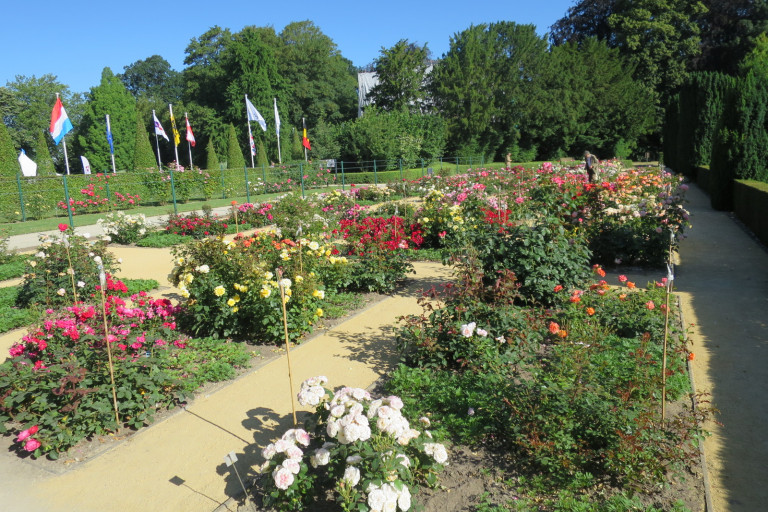 Blik op de rozenproeftuin