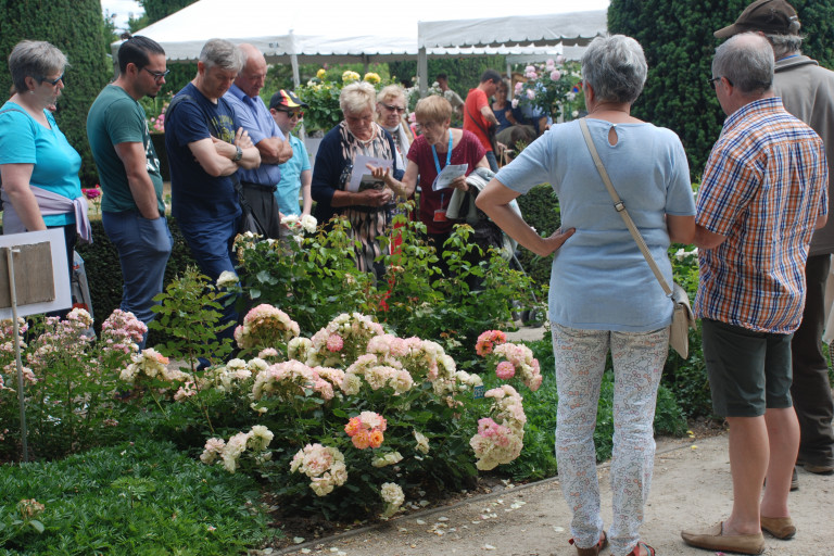 Rozentuin bezoek met gids