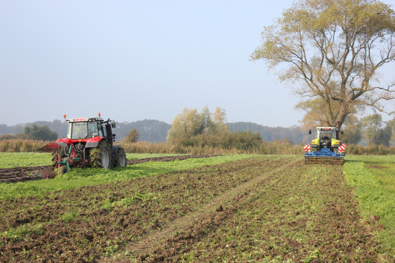 Inwerken groenbedekker