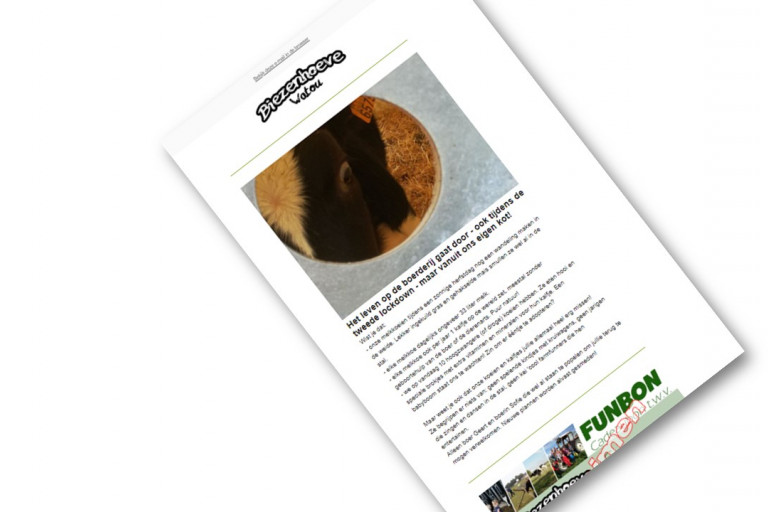 nieuwsbrief Mailchimp
