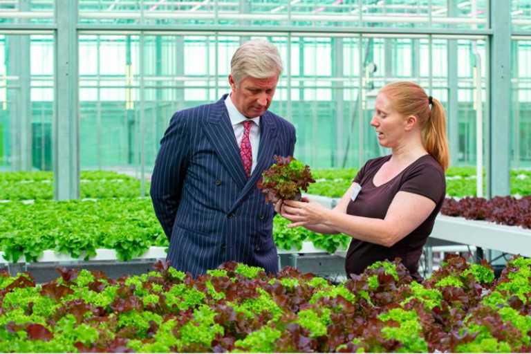 Bezoek Koning Agrotopia