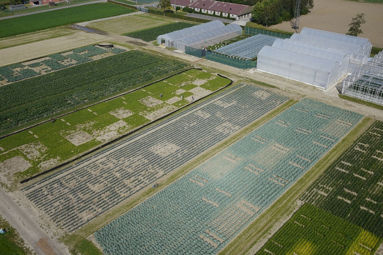 luchtbeeld proefvelden Inagro