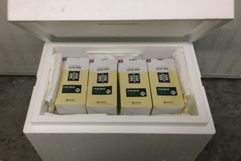 Aaltjes bij ontvangst - koelbox