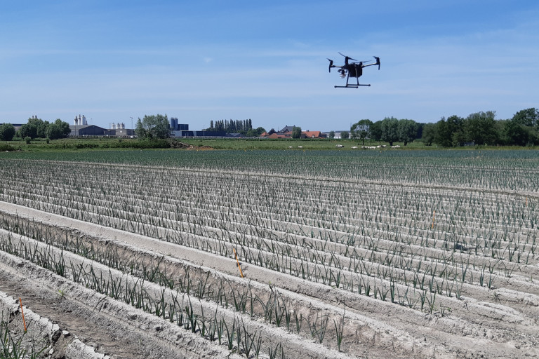 drone_prei_veld