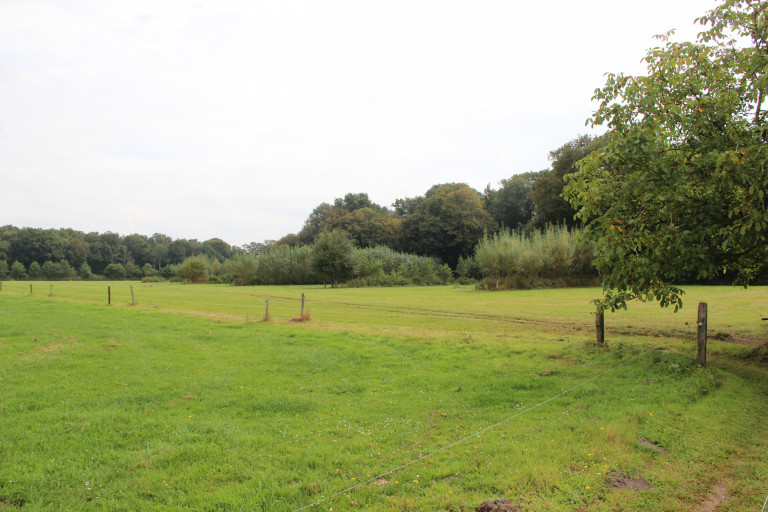 Voederbomen