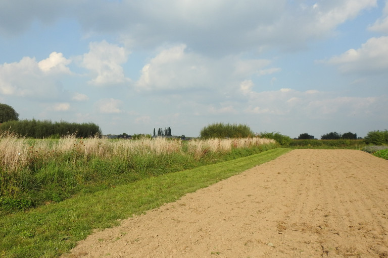 Keverbank op het demoperceel agronatuur