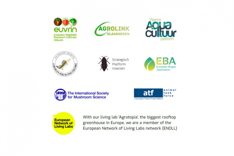 agrifood networks