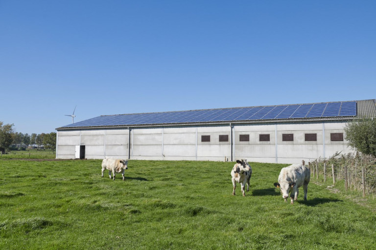 Zonnepanelen