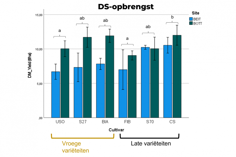 DS opbrengst