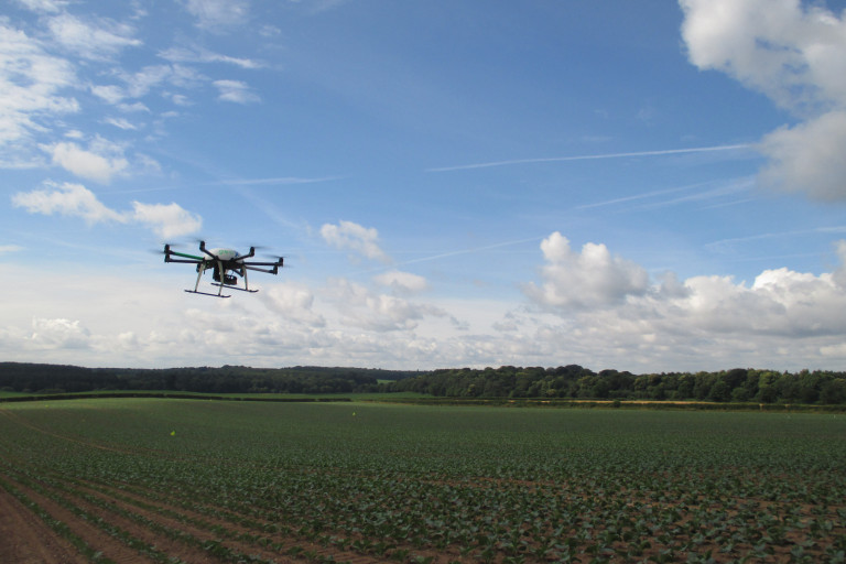 Drone, field, veld