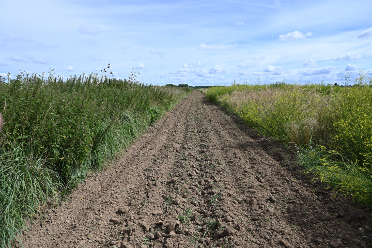 Keverbank_Noord-Brabant
