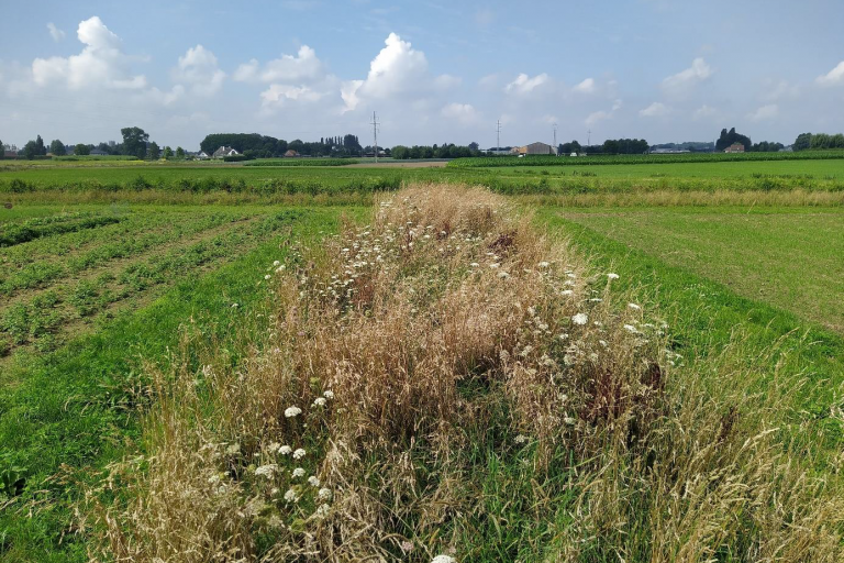 Keverbank Inagro