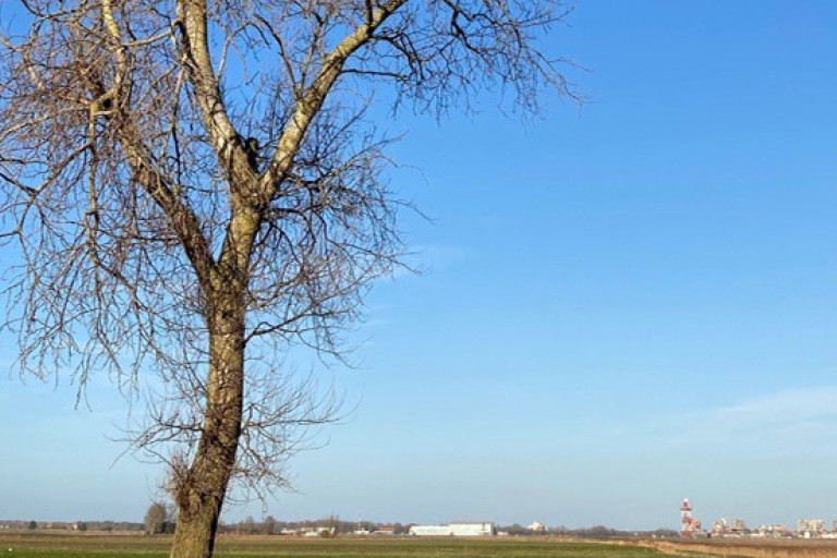 rust in je hoofd
