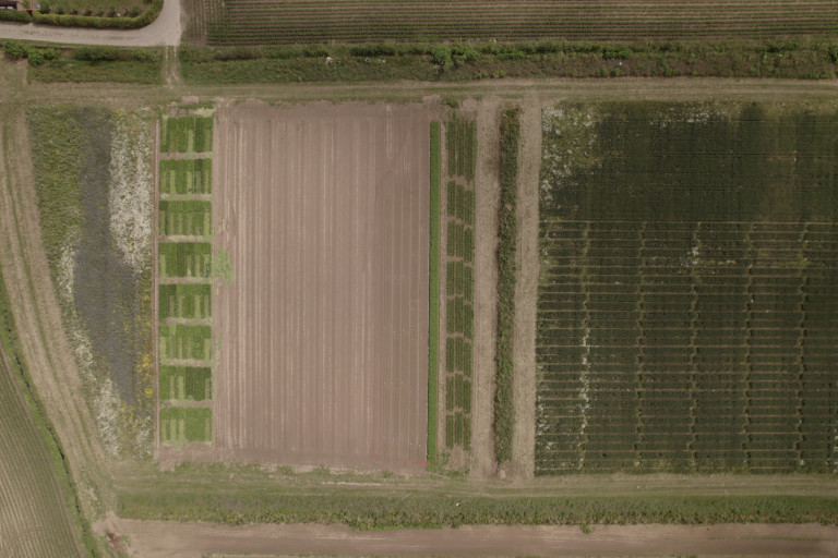 Overzicht demoperceel agromilieu