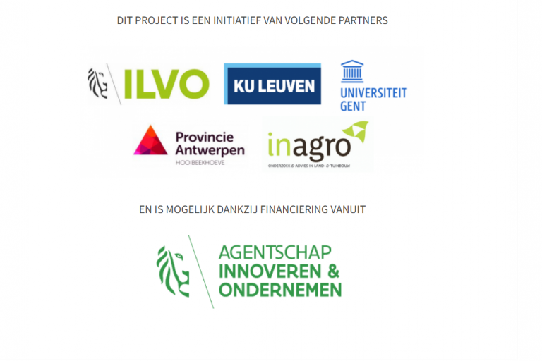 Logo banner veerkracht