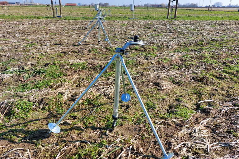Reeks lichtsensoren op het agroforestryperceel