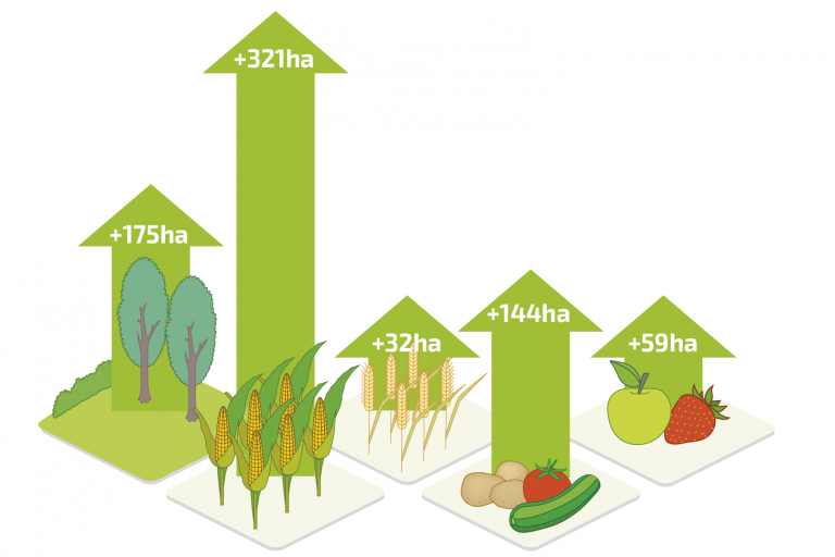 Bio in cijfers 2022 evolutie