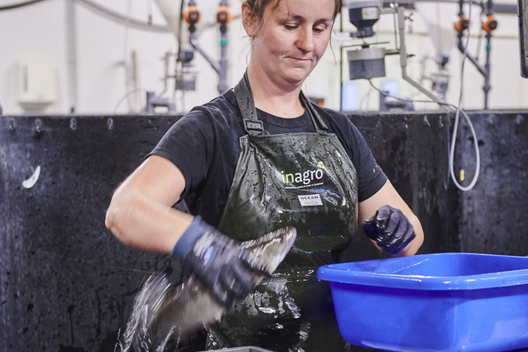 Actiefoto aquacultuur