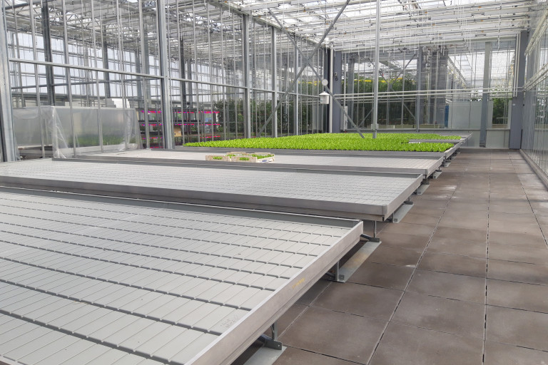 Agrotopia_bladgewassen_ebenvloed