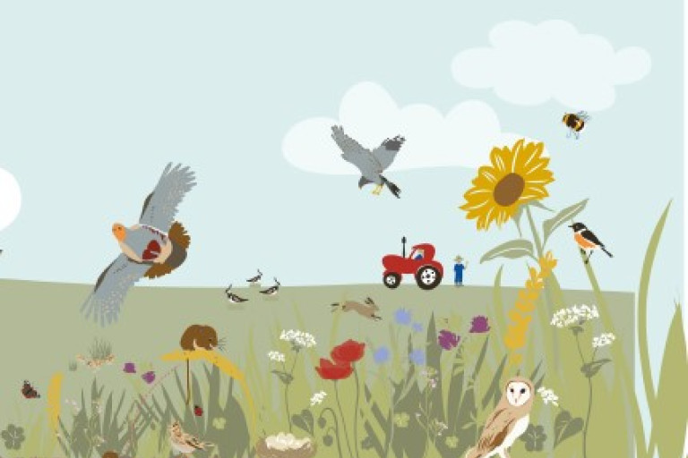 biodiversiteit beespoke partridge