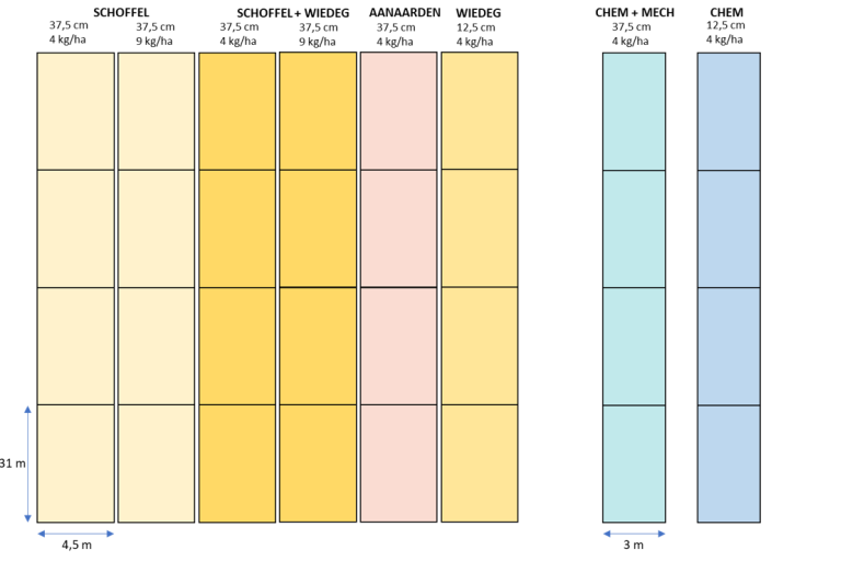 Proefopzet 