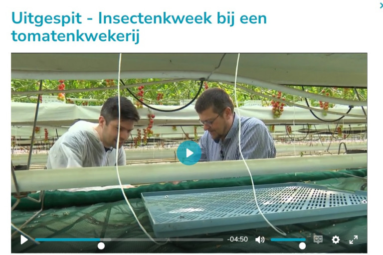 Vilt TeeVee maakt reportage over Entomoponics