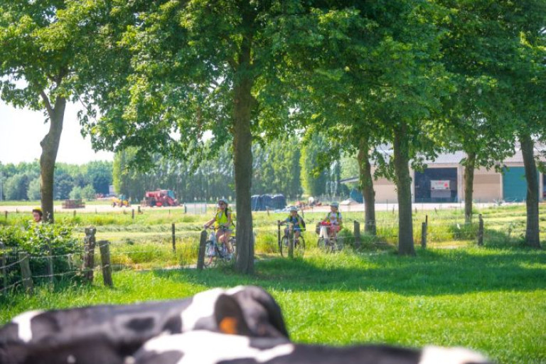 fietsen zoom@regio.jpg