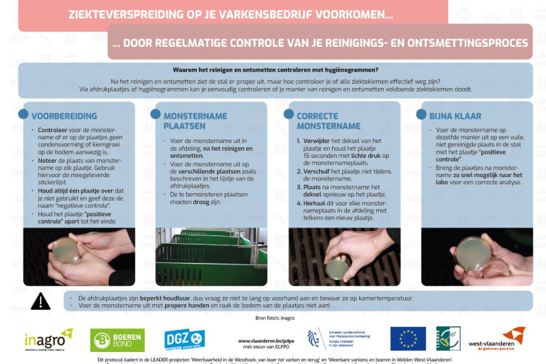 protocol hygiënogrammen-afdrukplaatjes.JPG