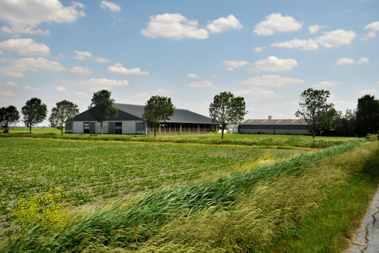 shotspot Diksmuide 4