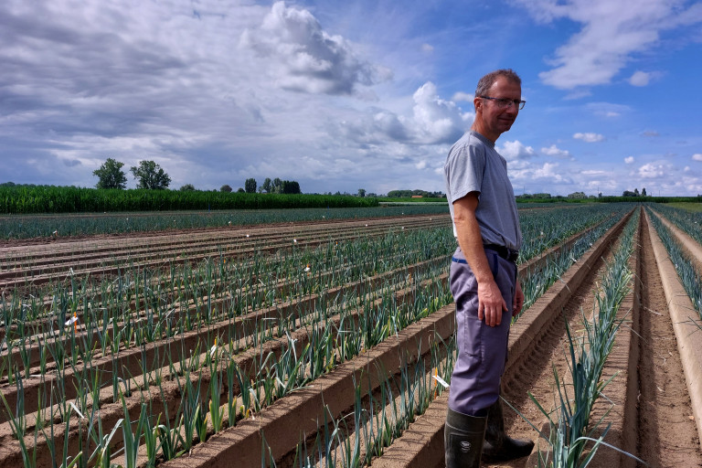 Geert Desmedt Teeltverantwoordelijke prei Inagro