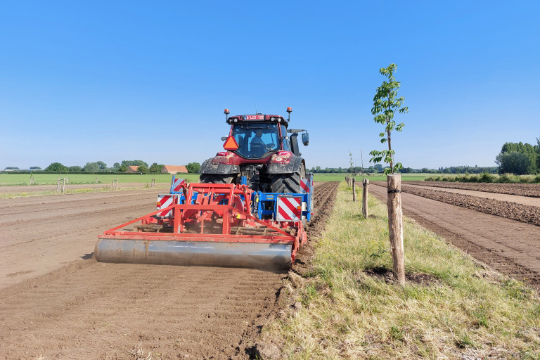 Rotoreggen langsheen de bomenrij op ons agroforestryperceel