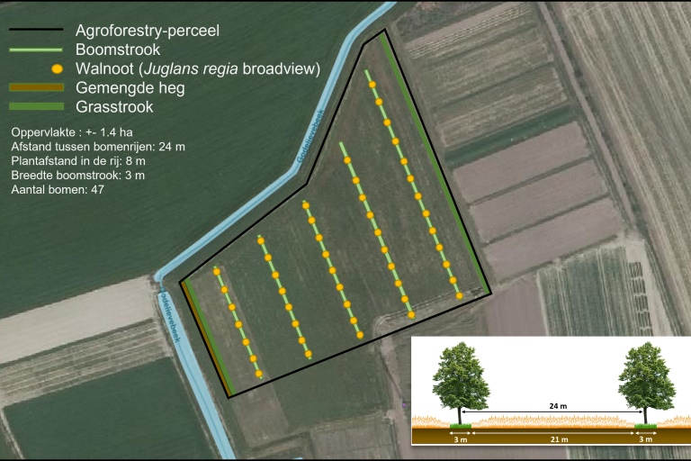 Plattegrond agroforestryperceel