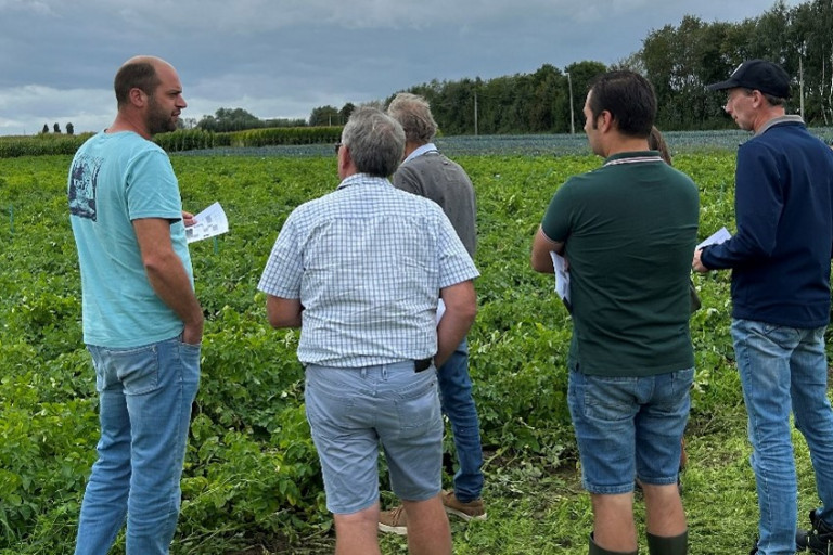 Focusgroep b3w