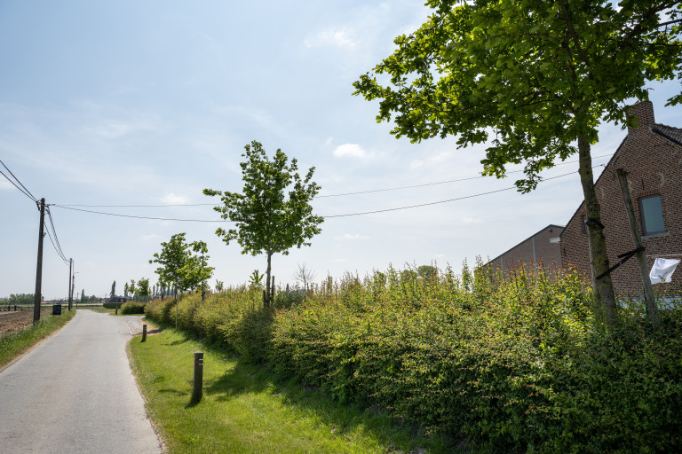 Sfeerfoto landschappelijke integratie