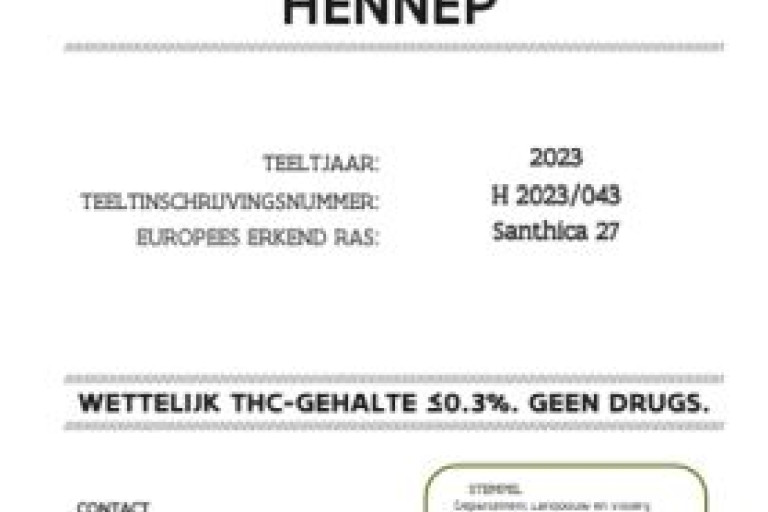 Teelttoestemming hennep 2023