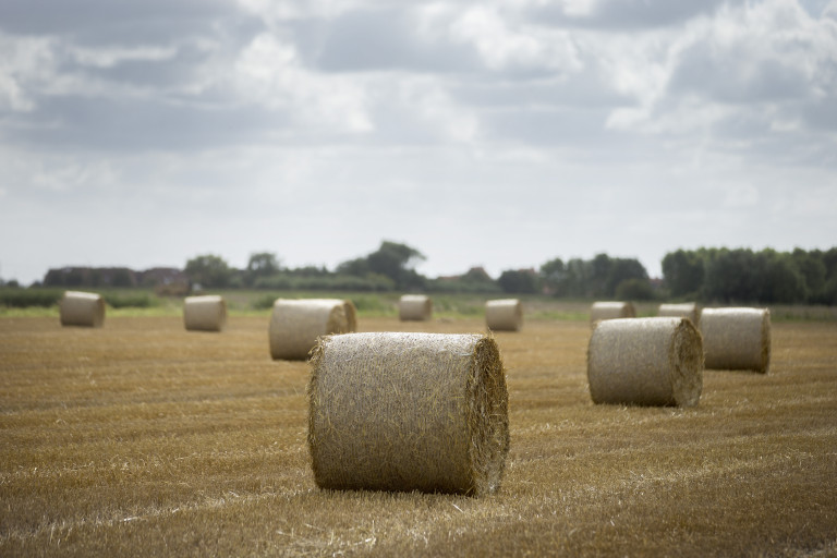Oudlandpolder stro