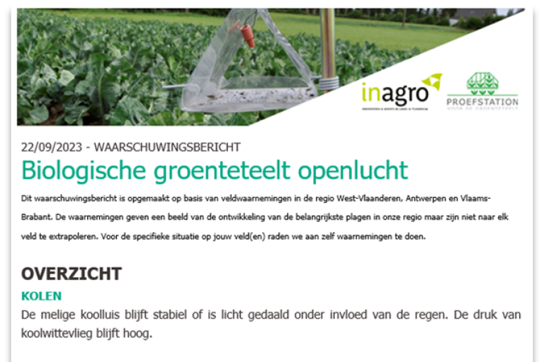 WW Bericht biogroenten 2023