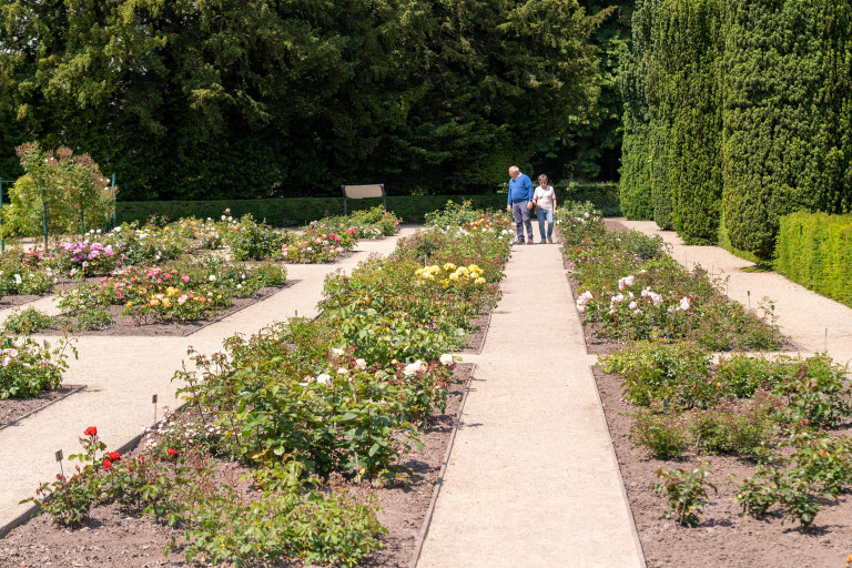 Rozenproeftuin