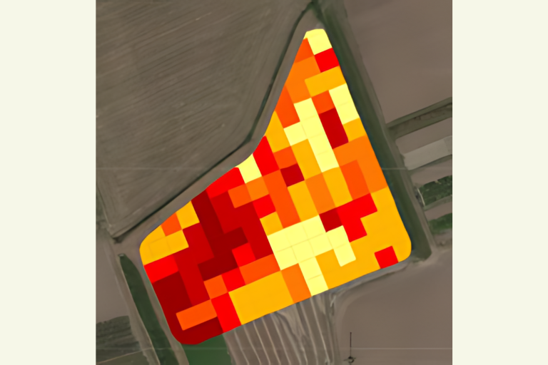 Bodemscan agroforestry.png