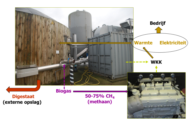 biogas2