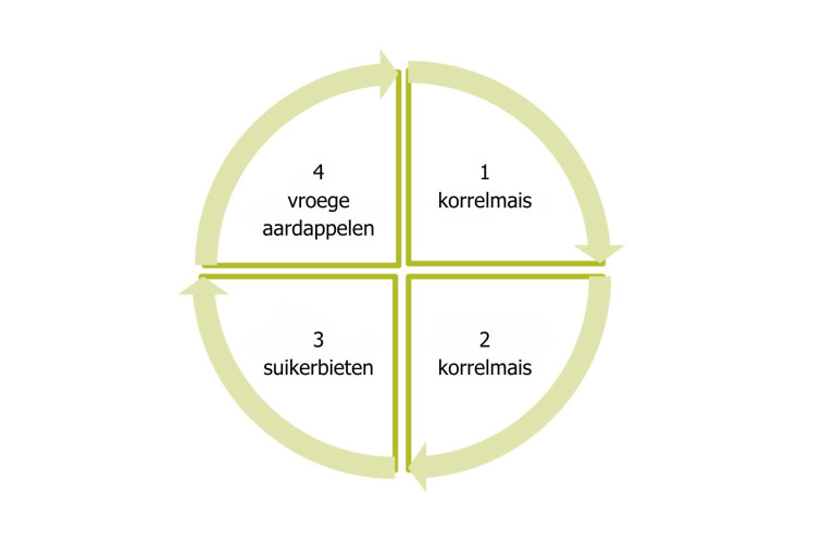Teeltrotatie varkensbedrijf.jpg