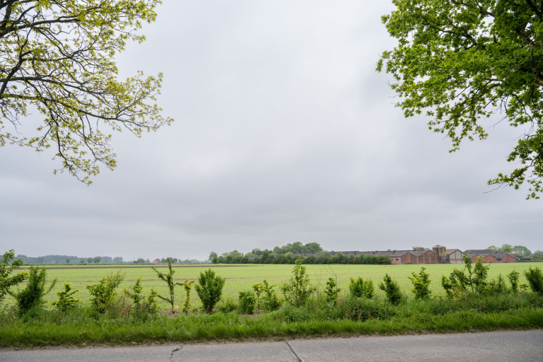 Bedrijf in het landschap met struiken