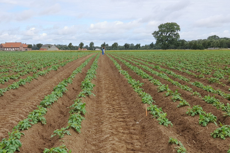 Proefveld circulaire meststoffen