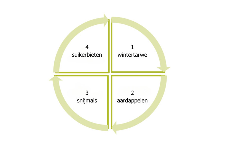 Teeltrotatie akkerbouwbedrijf.jpg