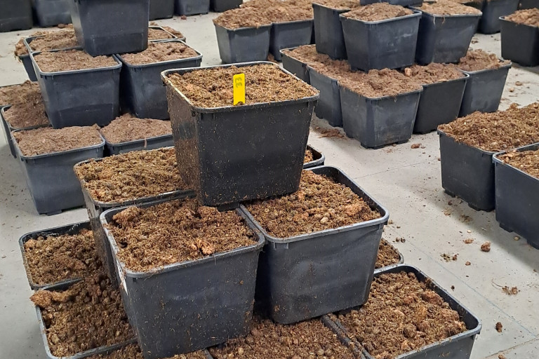 Organisatie vereist bij het vullen van de potten