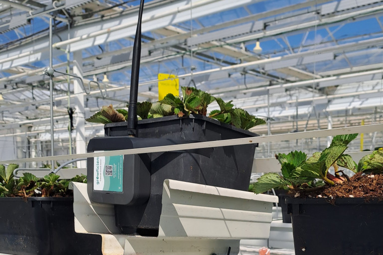 Vochtsensor zijwaarts in de pot