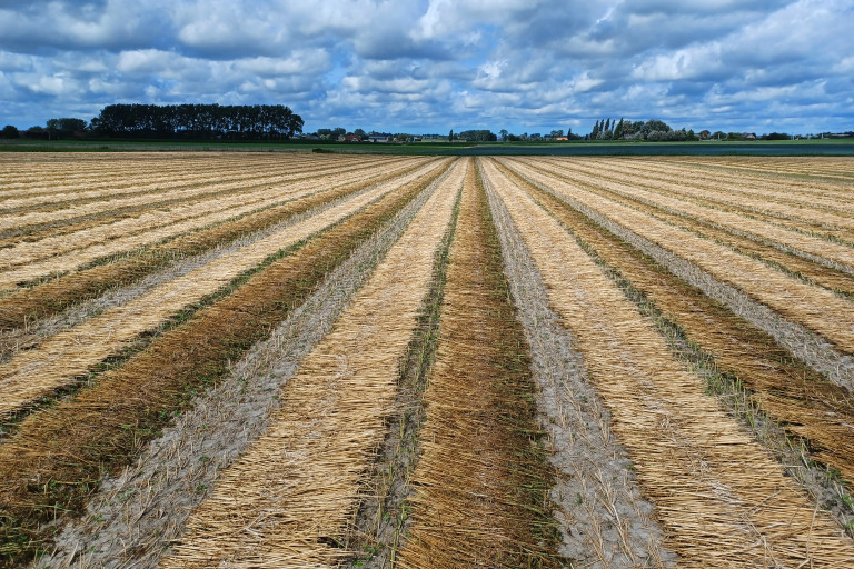 hennep roten