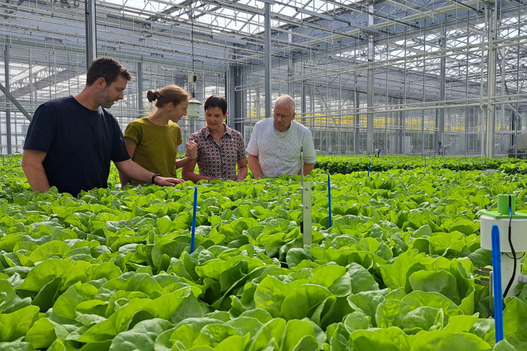 Gesprek Maarten Ameye, Emmy Dhooghe, Kathy Steppe en Jan Pieters
