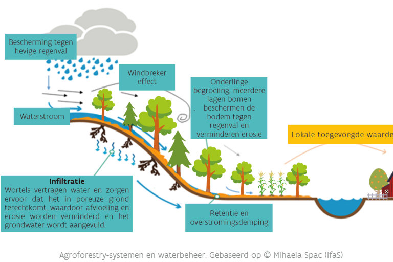 Agroforestry en waterbeheer