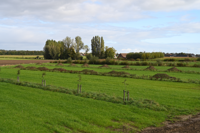Op til zijnde grondwerken op het agroforestryperceel van Inagro
